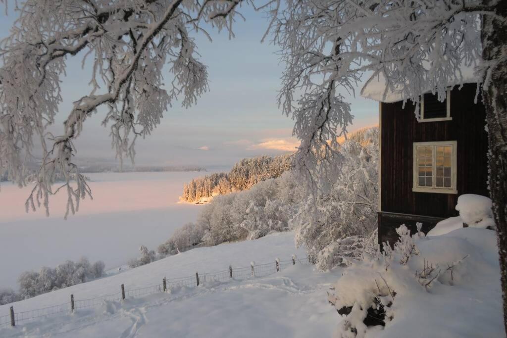 Appartement Opplev Jotunheimen Fra Vevstogo à Vestre Slidre Extérieur photo