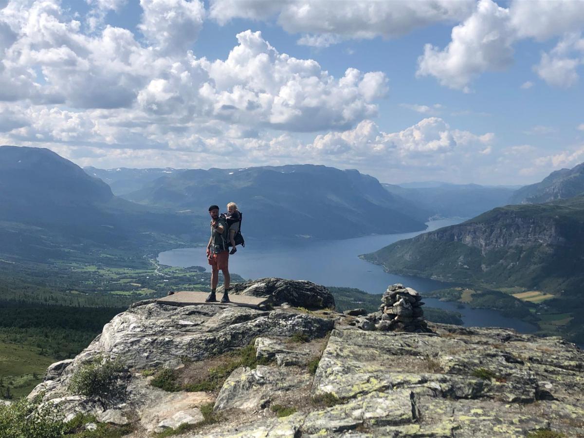 Appartement Opplev Jotunheimen Fra Vevstogo à Vestre Slidre Extérieur photo