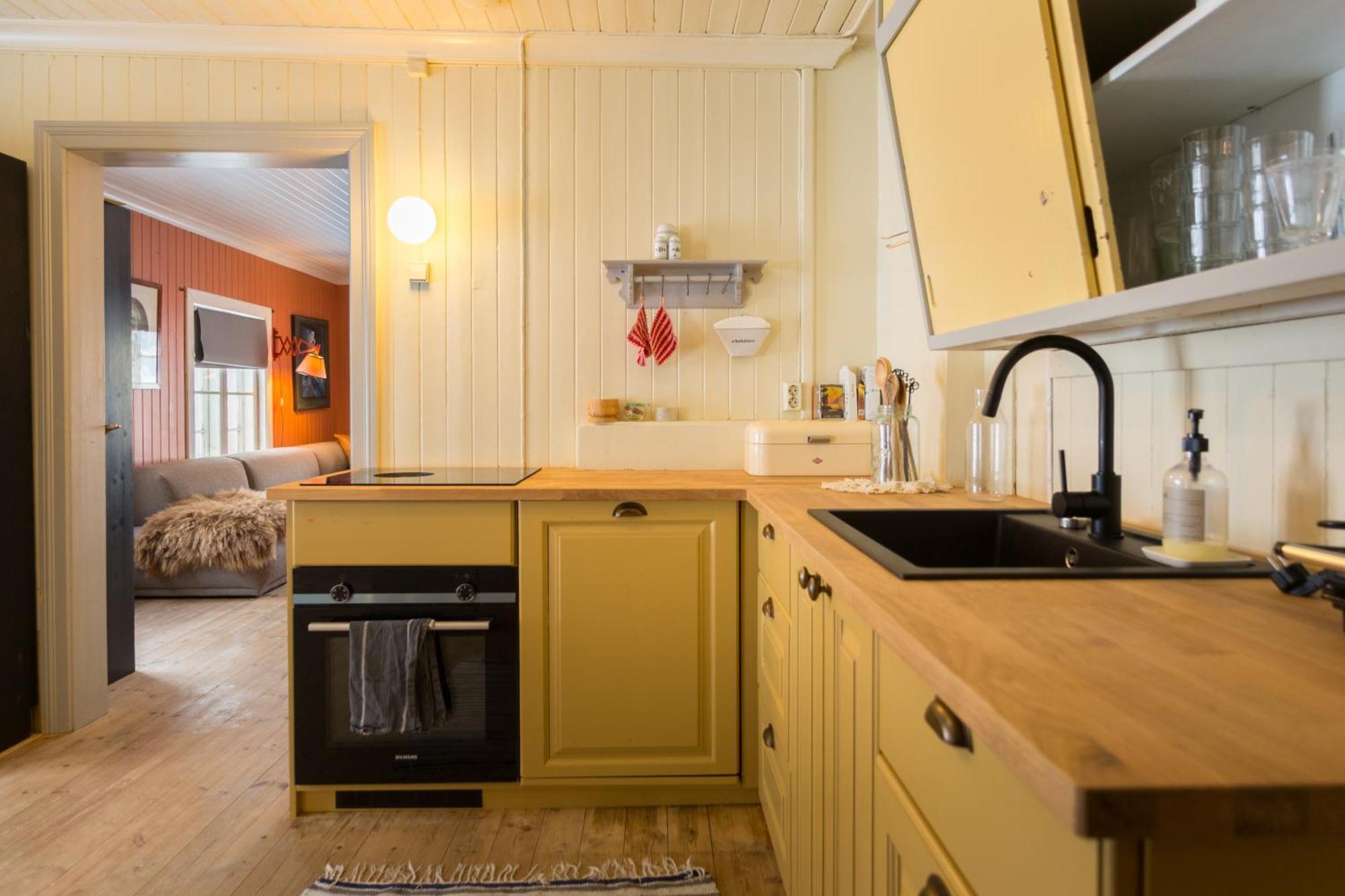 Appartement Opplev Jotunheimen Fra Vevstogo à Vestre Slidre Extérieur photo