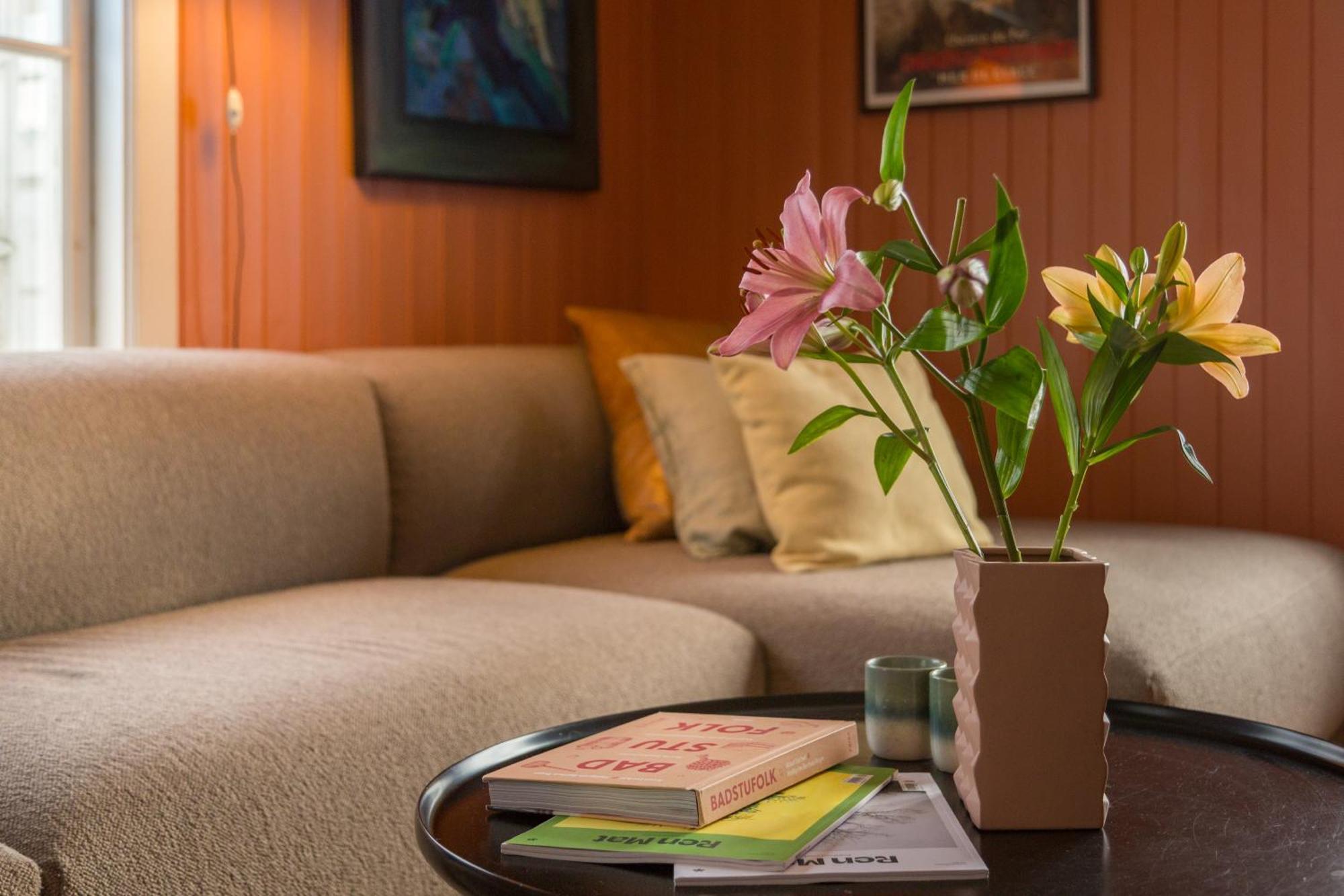 Appartement Opplev Jotunheimen Fra Vevstogo à Vestre Slidre Extérieur photo