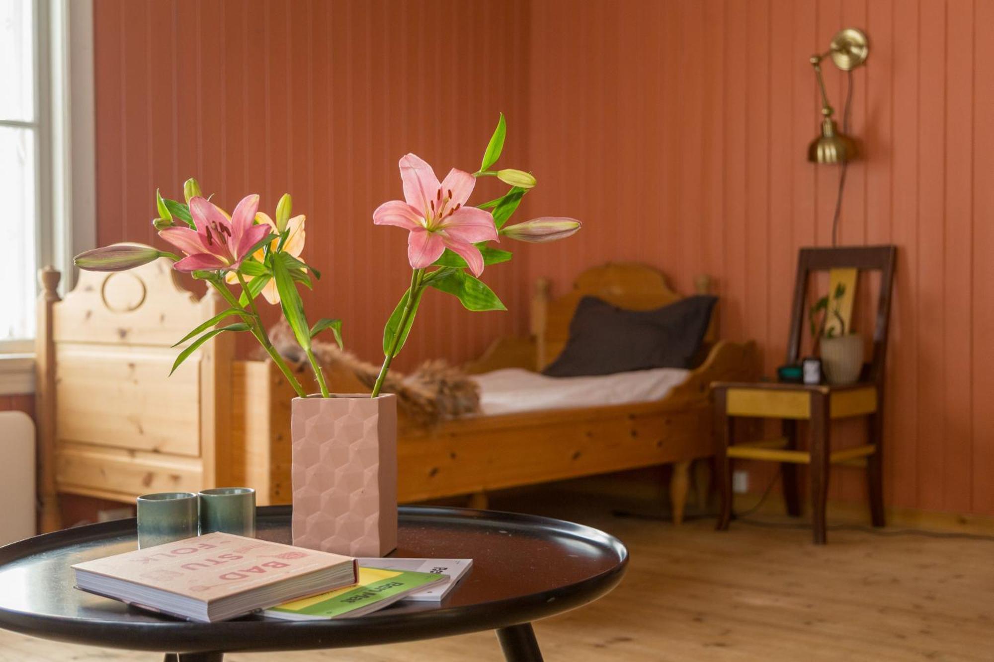 Appartement Opplev Jotunheimen Fra Vevstogo à Vestre Slidre Extérieur photo