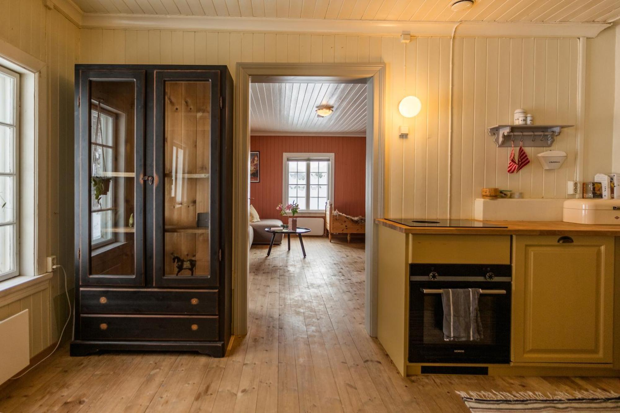Appartement Opplev Jotunheimen Fra Vevstogo à Vestre Slidre Extérieur photo